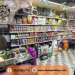 سگ ولش کورگی سفید قهوه ای شمال تهران