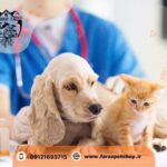 فروش سگ چاو چاو کرج