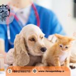 کلینیک تخصصی حیوانات خانگی کرج